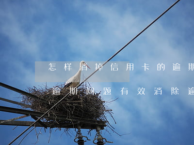 怎样消掉信用卡的逾期记录，轻松解决信用卡逾期问题：有效消除逾期记录的方法