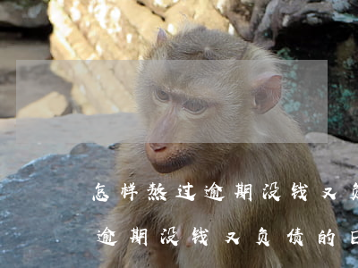 怎样熬过逾期没钱又负债的日子-怎样熬过逾期没钱又负债的日子呢