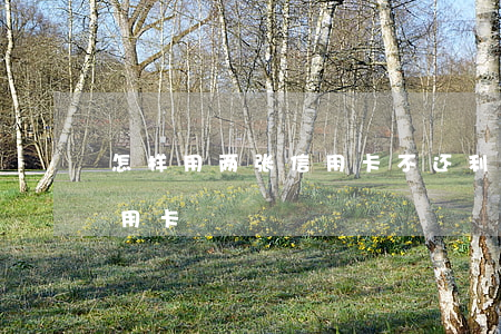 怎样用两张信用卡不还利息(如何使用二张信用卡)