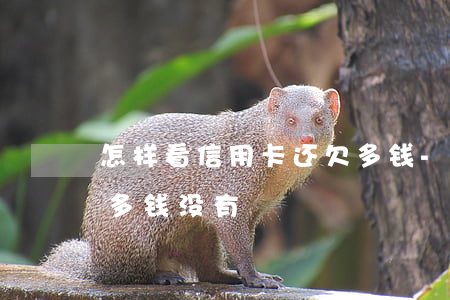 怎样看信用卡还欠多钱-怎样看信用卡还欠多钱没有