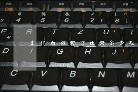 怎样看微粒贷还欠多少钱(怎么看微粒贷)
