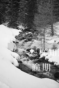 怎样知道信用卡有逾期-怎样知道信用卡有逾期