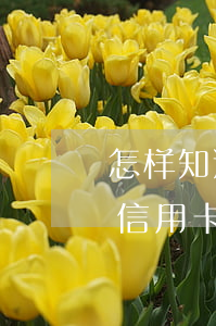 怎样知道信用卡逾期了没有(如何查看自己的信用卡有没有逾期)