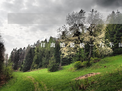 怎样离婚最快 一方不同意离婚
