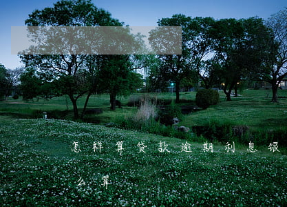 怎样算贷款逾期利息(银行贷款逾期的利息怎么算)