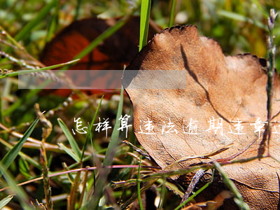 怎样算违法逾期违章(违章多长时间算逾期)