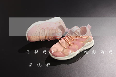 怎样网上办理离婚起诉(网上离婚起诉怎么办理流程)