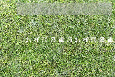 怎样联系律师(怎样联系律师来了这个栏目)