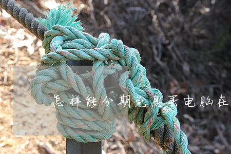 怎样能分期免息买电脑(在哪分期买电脑)