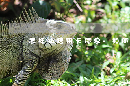 怎样让信用卡停息-如何让信用卡停息还款