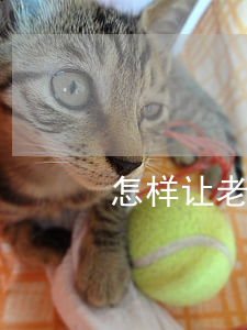 怎样让老公同意离婚