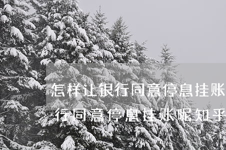 怎样让银行同意停息挂账呢知乎-怎样让银行同意停息挂账呢知乎