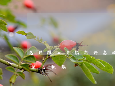 怎样跟工商银行停息挂账(工商银行怎么协商停息挂账)