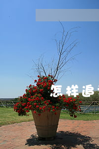 怎样追讨货款(怎么追讨货款)