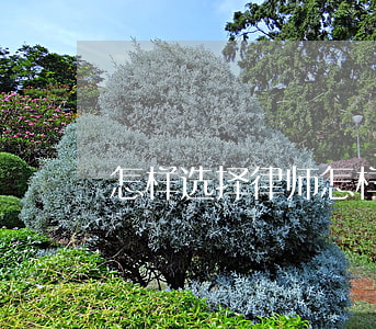 怎样选择律师(怎样选择律师事务所 打官司)