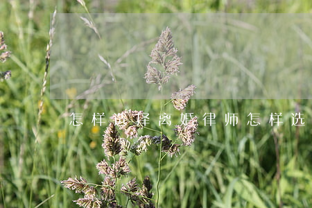 怎样选择离婚律师(怎样选择离婚律师)