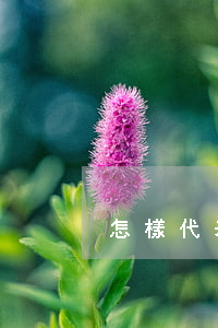 怎樣代表信用卡逾期(怎么叫信用卡逾期)