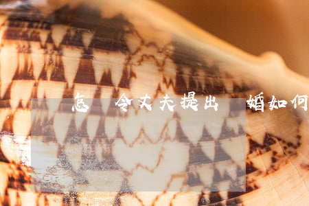 怎樣令丈夫提出離婚(如何讓他和老婆離婚)