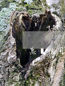 怎樣信用卡利息最低