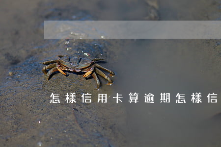 怎樣信用卡算逾期(怎樣信用卡算逾期利息)