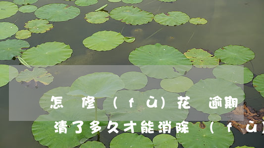 怎樣修復(fù)花唄逾期記錄(花唄逾期還清了多久才能消除負(fù)面記錄)