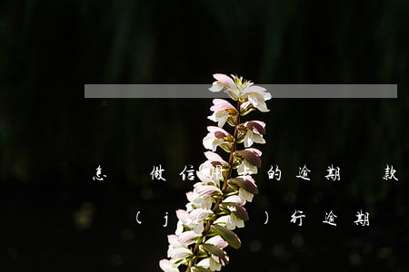 怎樣做信用卡的逾期還款計(jì)劃(如何進(jìn)行逾期還款)