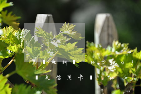 怎樣做到網(wǎng)貸和信用卡欠70萬(欠信用卡網(wǎng)貸60萬如何自救)