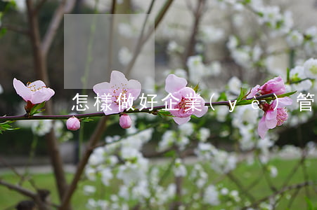 怎樣做好企業(yè)管理