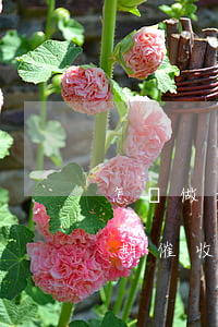 怎樣做好信用卡逾期催收(怎樣做好信用卡逾期催收業(yè)務(wù))
