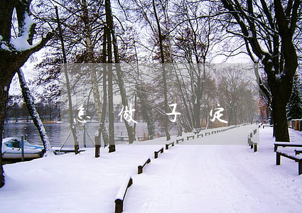 怎樣做親子鑒定