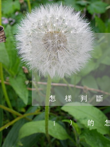 怎樣判斷律師事務(wù)所是正規(guī)的(怎么查律師事務(wù)所是否正規(guī))