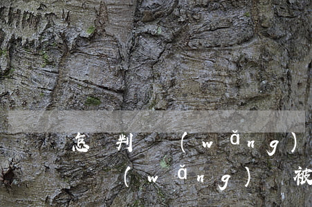怎樣判斷網(wǎng)貸被起訴了（怎樣判斷網(wǎng)貸被起訴）