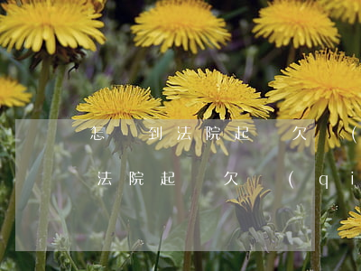 怎樣到法院起訴欠錢(qián)不還的人(法院起訴欠錢(qián)不還的人需要什么流程)