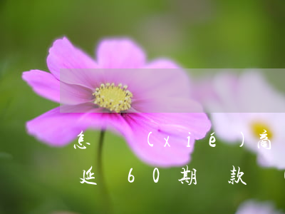 怎樣協(xié)商網(wǎng)貸逾期延長60期還款(網(wǎng)貸逾期怎么協(xié)商延期還款)