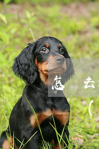 怎樣去起訴網(wǎng)貸公司(怎樣去起訴網(wǎng)貸公司)