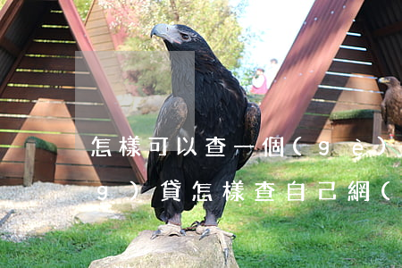 怎樣可以查一個(gè)欠多少網(wǎng)貸(怎樣查自己網(wǎng)貸有多少欠款)