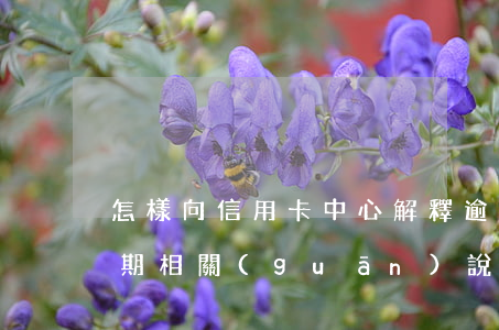 怎樣向信用卡中心解釋逾期(民法典信用卡逾期相關(guān)說明)