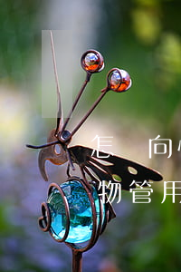 怎樣向快離婚的老公要禮物(老婆要離婚送禮物管用嗎)