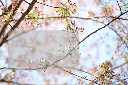 怎樣向銀行申請(qǐng)停息（怎樣向銀行申請(qǐng)停息）
