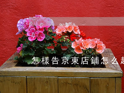 怎樣告京東店鋪（怎么起訴京東的店鋪）