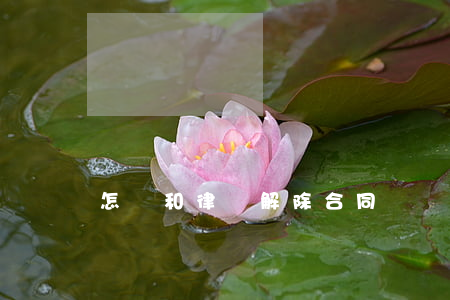 怎樣和律師解除合同