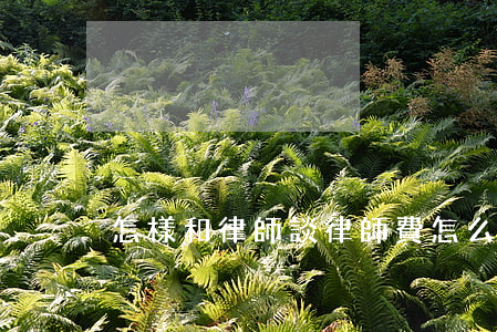 怎樣和律師談律師費(怎么跟律師談費用)