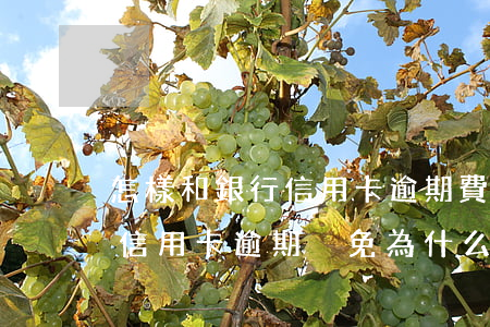 怎樣和銀行信用卡逾期費(fèi)用減免（信用卡逾期減免為什么還收到）