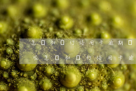 怎樣和銀行信用卡逾期費(fèi)用減免呢 怎樣和銀行信用卡逾期費(fèi)用減免呢