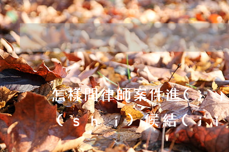 怎樣問律師案件進(jìn)展怎樣?什么時(shí)候結(jié)案(怎樣問律師案件進(jìn)展怎樣?什么時(shí)候結(jié)案)