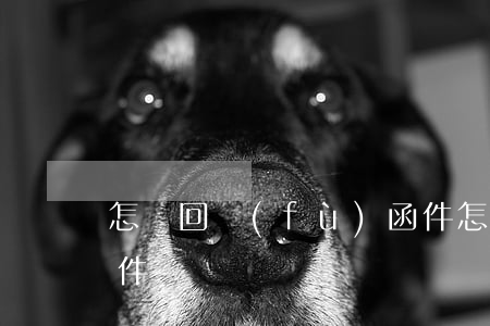 怎樣回復(fù)函件(怎么回復(fù)函件)