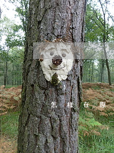 怎樣在原告地起訴離婚