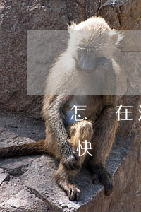 怎樣在法院起訴京東-怎樣在法院起訴京東快遞員