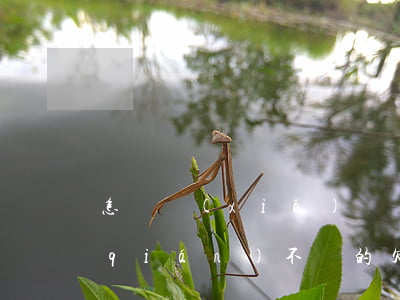 怎樣寫(xiě)訴訟書(shū)欠錢(qián)不還的(欠錢(qián)不還怎樣寫(xiě)起訴書(shū)范文)