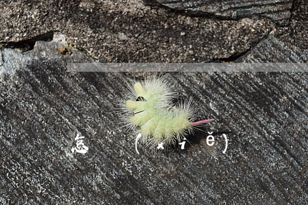 怎樣寫(xiě)遺囑(遺囑如何有效)